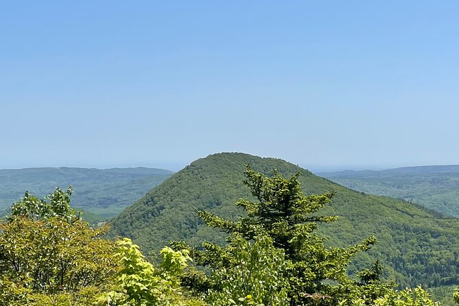 Full Day Green Season Hiking in Sapporo and Hokkaido with onsen. - Is $249.39 a fair price?