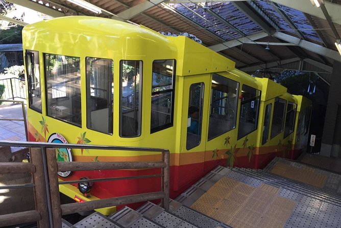 Full Day Hiking Tour at Mt.Takao including Hot Spring - Who should book this mountain day?