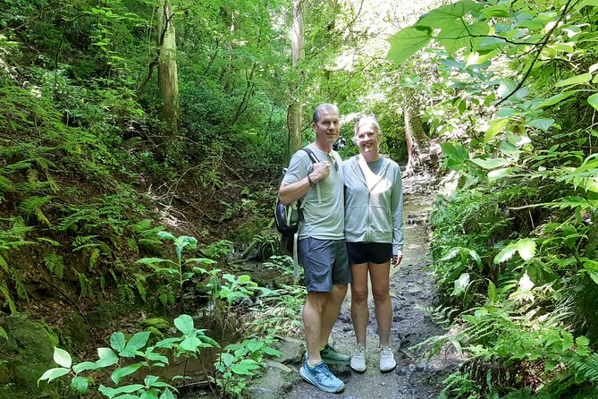 Full Day Hiking Tour at Mt.Takao including Hot Spring - The summit and the chance to see Mt. Fuji