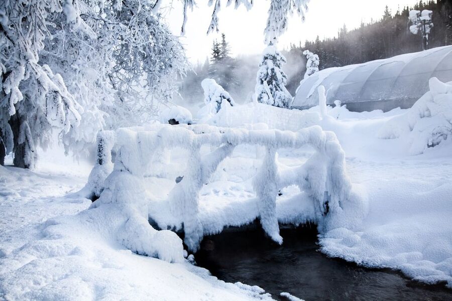 Full Day Ice Museum and Chena Hot Springs Tour - Who should book this Chena day trip?