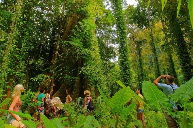 Full-Day Jungle Tour Including Tiger Cave Temple, Crystal Pool and Krabi Hot Springs - A simple Thai lunch between the pools and the temple