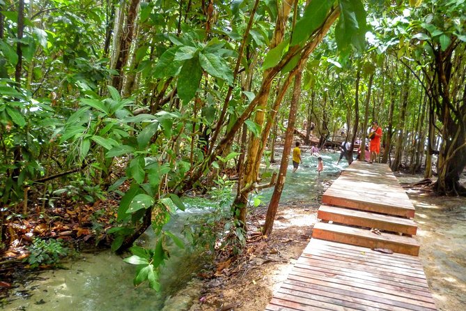 Full-Day Jungle Tour Including Tiger Cave Temple, Crystal Pool and Krabi Hot Springs - Tiger Cave Temple and the 1,237-step test