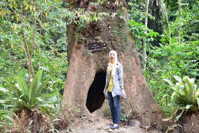 Full-Day Jungle Tour Including Tiger Cave Temple, Crystal Pool and Krabi Hot Springs - What the guide does, and what the guide may not do