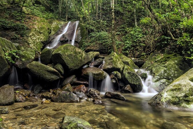 Full-Day Kinabalu Park and Poring Hot Spring Day Trip - Key points to know before booking