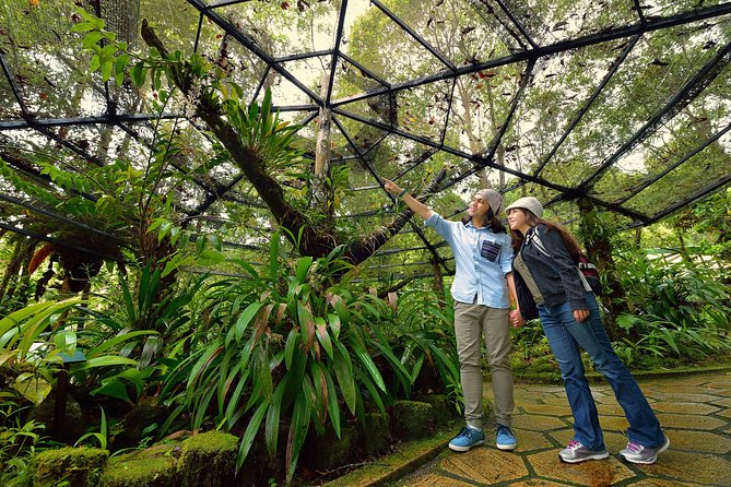 Full-Day Kinabalu Park and Poring Hot Spring Day Trip - Why this day trip is worth considering