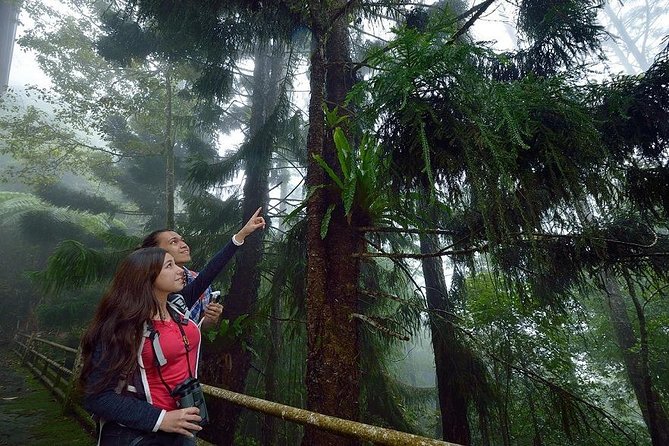 Full-Day Kinabalu Park and Poring Hot Spring Day Trip - A 7:00 am start from Kota Kinabalu