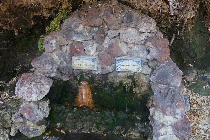 Full-Day Private São Miguel Tour with Furnas and Hot springs - Lagoa das Furnas and the six-hour stew