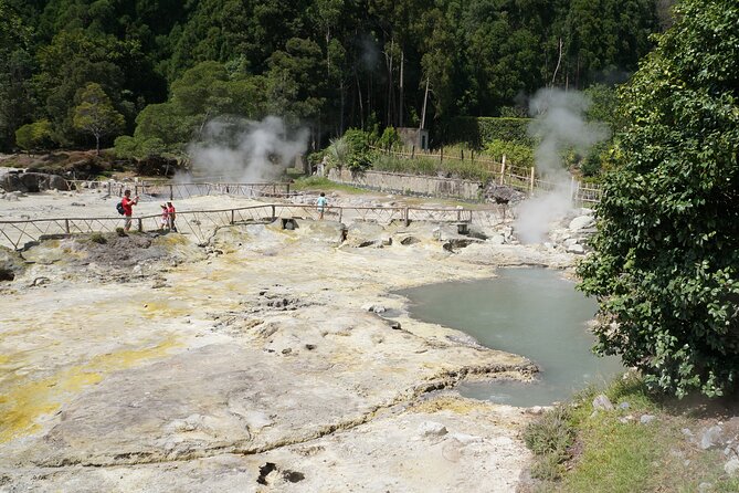 Full-Day Private São Miguel Tour with Furnas and Hot springs - Terra Nostra’s 35 to 40 degree thermal pool