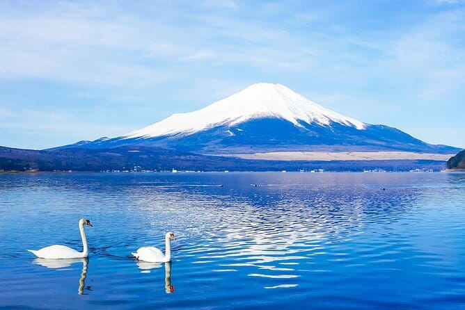 Full Day Tour at Mt. Fuji, Onsen, Lake Kawaguchi and Yamanaka - What this Mount Fuji day trip really offers
