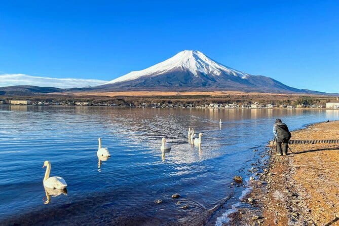 Full Day Tour at Mt. Fuji, Onsen, Lake Kawaguchi and Yamanaka - The long drive is part of the bargain
