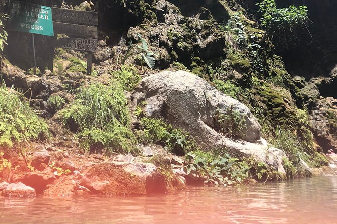 Full-Day Tour to Tolantongo Hot Springs from Ciudad de Mexico - Entering both Tolantongo park areas