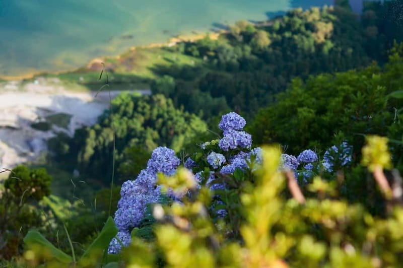 Furnas: Hot Springs, Crater Lake & Geothermal Wonders - Why Furnas makes a strong full-day outing