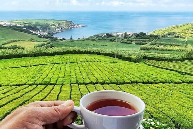 Furnas in a Private Evening - Tea, Cozido Dinner and Hot Springs - What $191.45 buys you