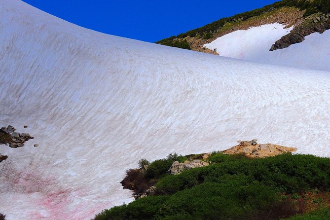 Glacier Hiking & Geothermal Cave Pools Tour - St. Mary’s Glacier at 10,200 feet