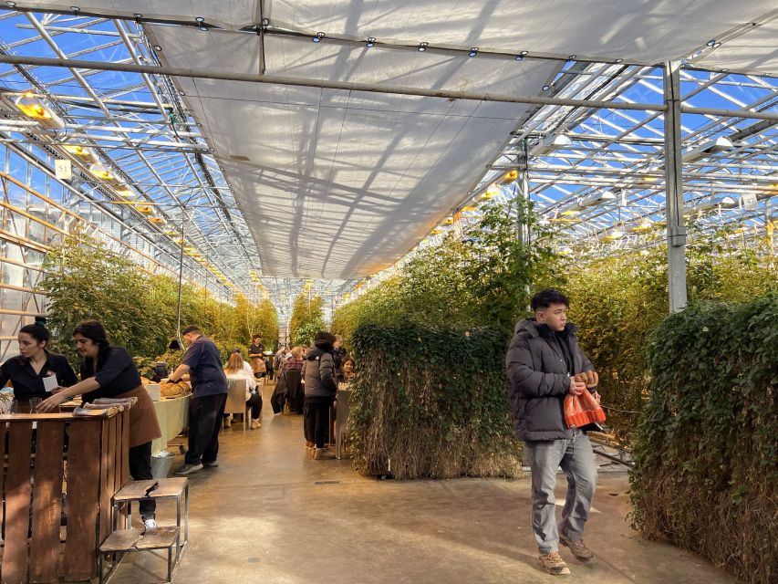 Golden circle, hot spring bakery, tomato farm private tour - What the $1,520 private price buys you