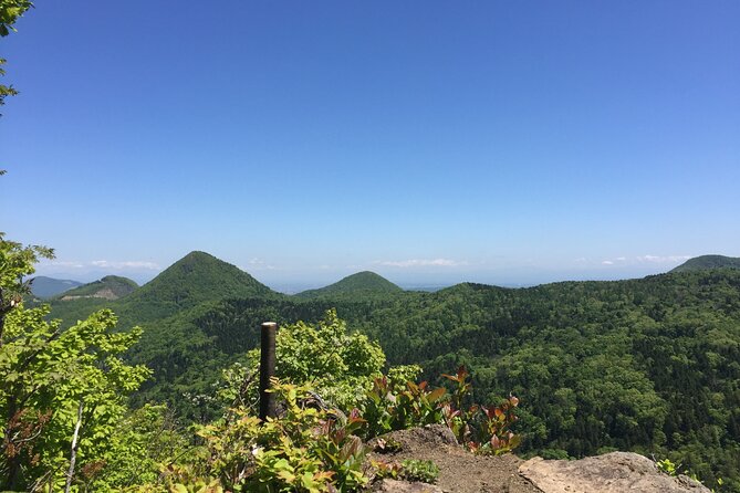Green Season Half Day Hikes in Sapporo and Hokkaido with Onsen - A backcountry morning within reach of Sapporo