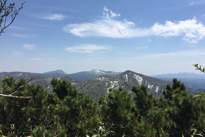 Green Season Half Day Hikes in Sapporo and Hokkaido with Onsen - What Chris adds to the day
