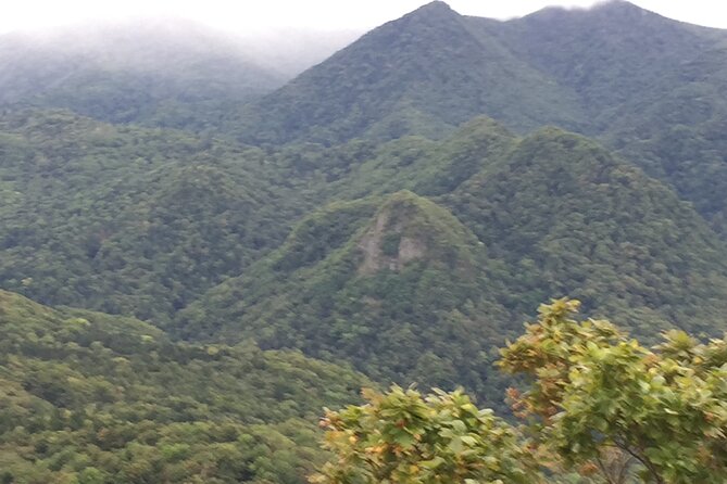 Green Season Half Day Hikes in Sapporo and Hokkaido with Onsen - Is $195.46 a fair price?
