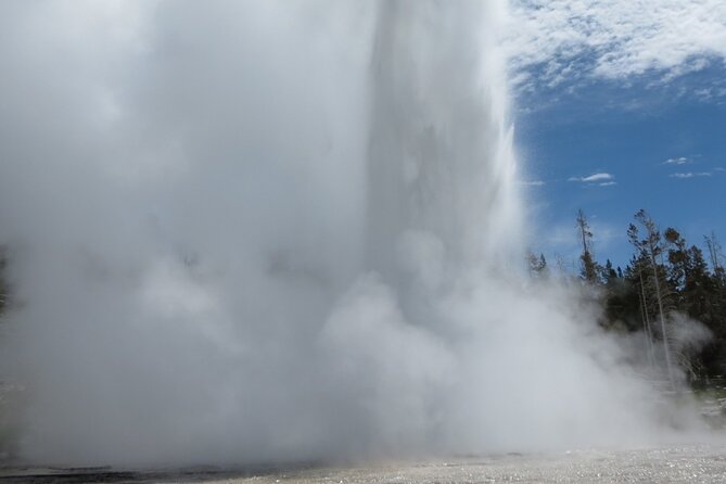 Guided Yellowstone Hot Spring & Geyser Basin Tour - Mud Volcano’s rougher side
