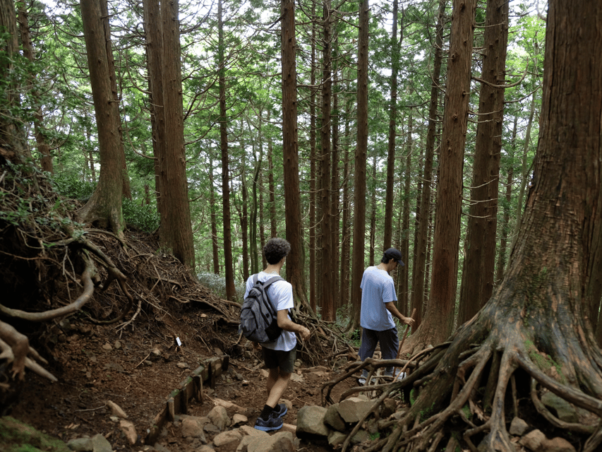 Hakone: Traverse the Hakone Caldera and Enjoy Onsen - Who should book this hike