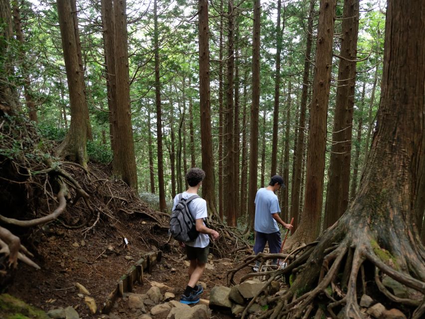 Hakone: Traverse the Hakone Caldera and Enjoy Onsen - Why the guide matters on this route