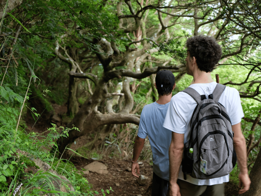 Hakone: Traverse the Hakone Caldera and Enjoy Onsen - What the $154 price really covers