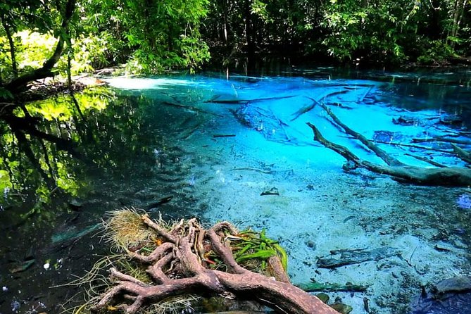 Half Day Jungle Tour to Emerald pool and Krabi Hot Spring - Emerald Pool, the main reason to go
