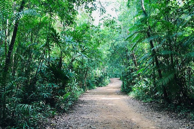 Half Day Jungle Tour to Emerald pool and Krabi Hot Spring - What the guide adds, and where the tour feels thin