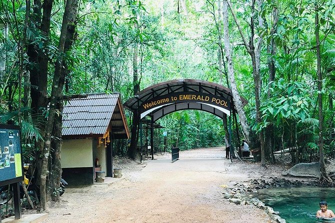 Half Day Jungle Tour to Emerald pool and Krabi Hot Spring - Who will enjoy this Krabi outing?