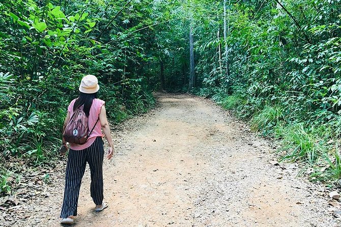 Half Day Jungle Tour to Emerald pool and Krabi Hot Spring - My booking advice
