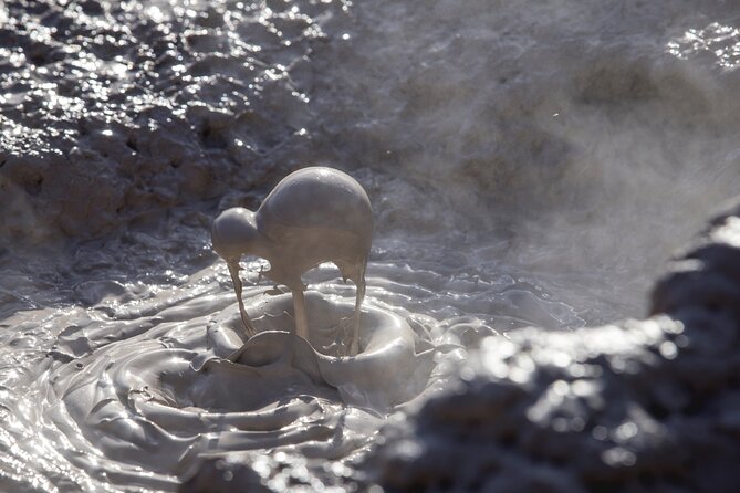 Half-Day Tour - Ex Rotorua: WAI-O-TAPU Thermal Wonderland - The Mud Pool gives you the first taste of Rotorua