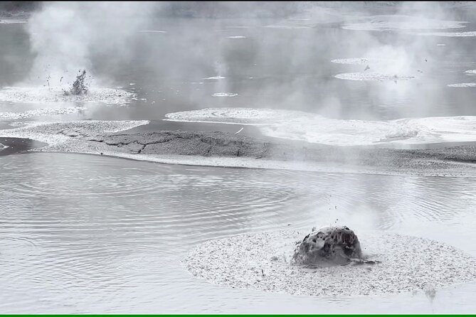 Half-Day Tour - Ex Rotorua: WAI-O-TAPU Thermal Wonderland - Two hours among steaming vents and colored springs