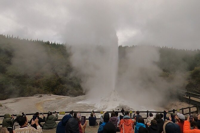 Half-Day Tour - Ex Rotorua: WAI-O-TAPU Thermal Wonderland - The ride, group size, and driver experience