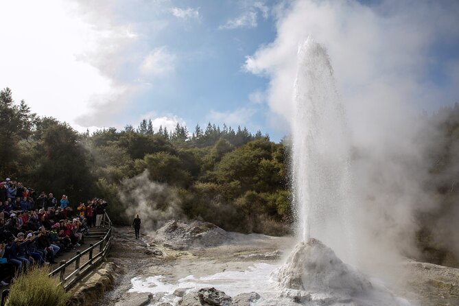 Half-Day Tour - Ex Rotorua: WAI-O-TAPU Thermal Wonderland - Who will get the most from this half-day tour?