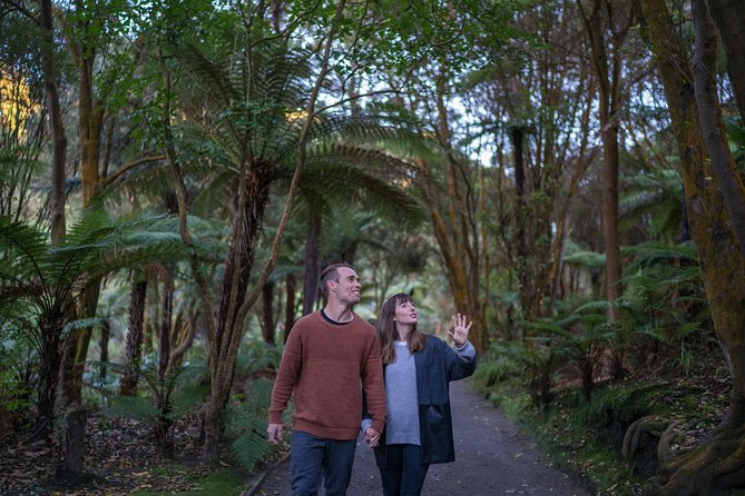 Hell's Gate Geothermal Walk - What makes Hell’s Gate different from a standard Rotorua walk