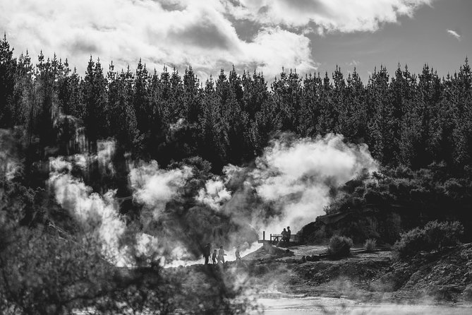 Hell's Gate Geothermal Walk - Choosing between the fact sheet and a live guide