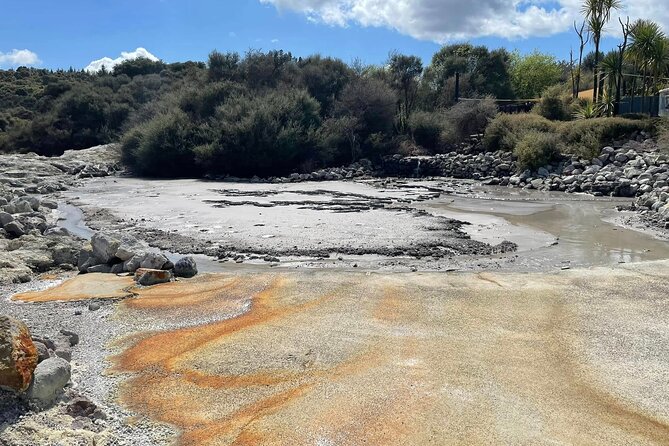 Hells Gate Geothermal, Mud & Sulphur Spa - From Tauranga port to Rotorua’s volcanic country