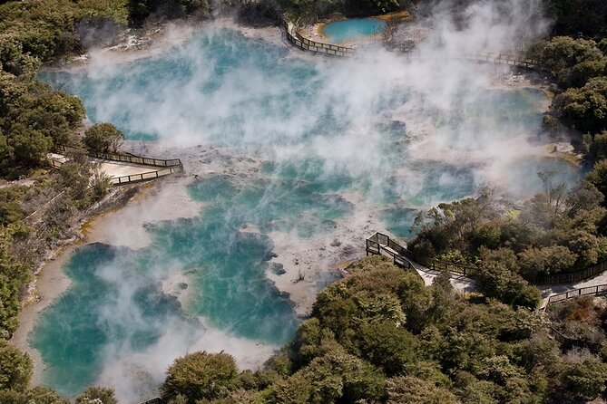 Hells Gate Geothermal, Mud & Sulphur Spa - A quick look at the Redwoods Forest