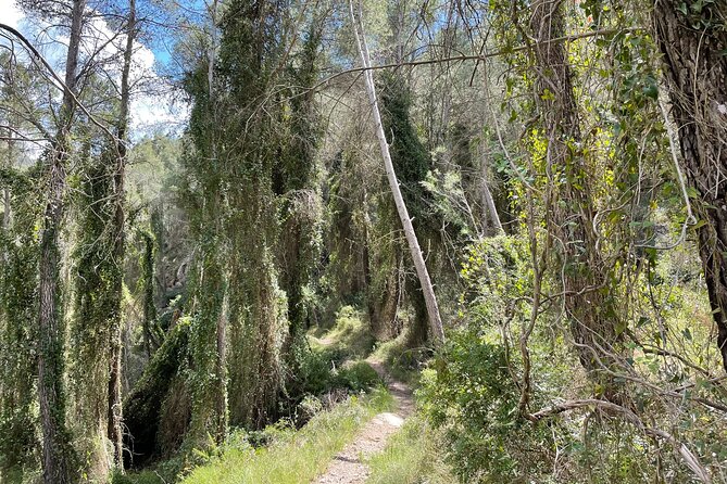 Hiking in Montanejos and swim in Thermal Springs - OFFICIAL GUIDE - Fuente de los Baños and the Mijares Swim