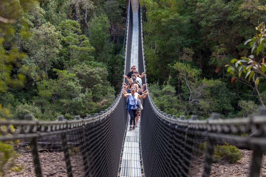 Hobart: Tahune Airwalk, Hastings Cave, Thermal Springs Tour - From Hobart to the Huon Valley