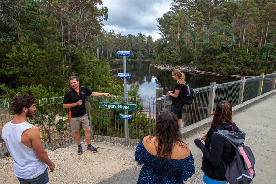 Hobart: Tahune Airwalk, Hastings Cave, Thermal Springs Tour - What the $145 price covers