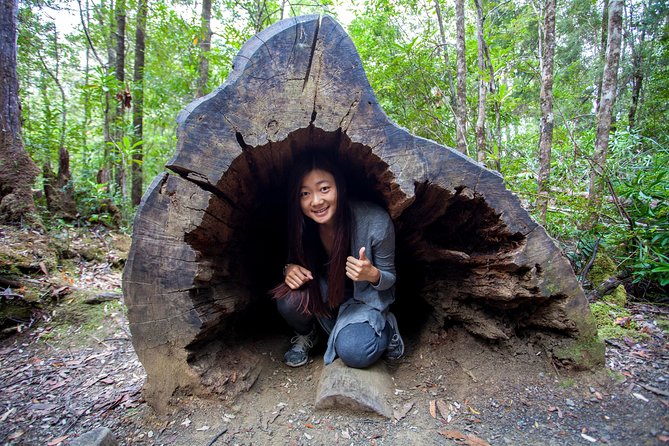 Hobart: Tahune Airwalk, Hastings Caves & Thermal Springs Pool - Why this Hobart day trip works so well
