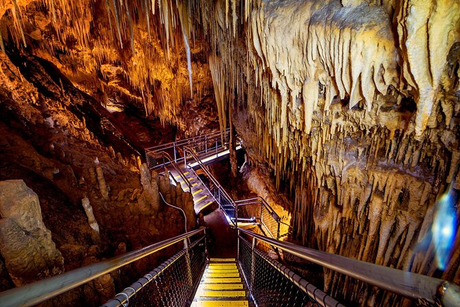 Hobart: Tahune Airwalk, Hastings Caves & Thermal Springs Pool - Tahune Airwalk: forest from 40 metres up