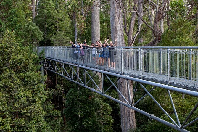 Hobart: Tahune Airwalk, Hastings Caves & Thermal Springs Pool - Hastings Caves: the strongest stop underground