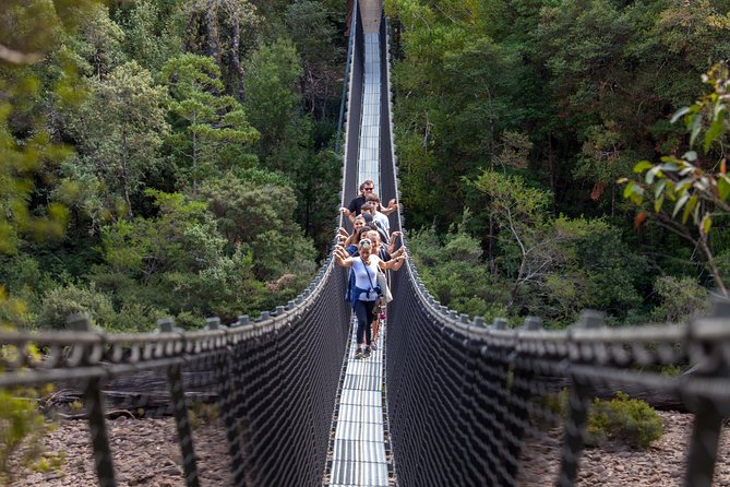 Hobart: Tahune Airwalk, Hastings Caves & Thermal Springs Pool - Leaving Hobart for the Huon Valley