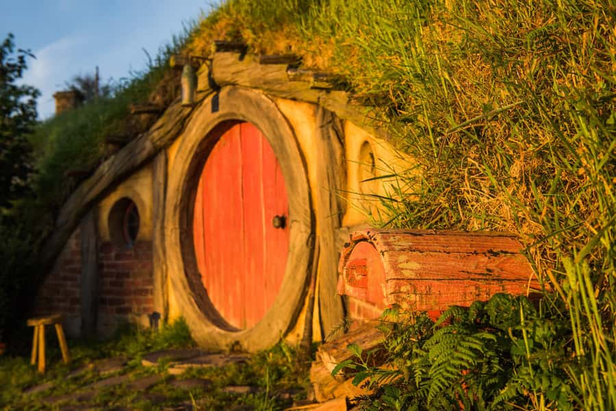Hobbiton Movie Set & Te Puia Geothermal Valley Private Tour - From movie magic to Rotorua’s geothermal valley