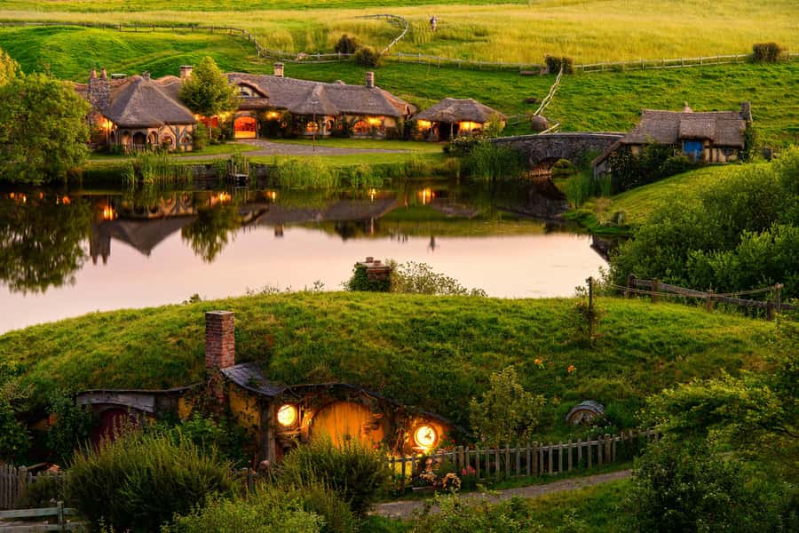 Hobbiton Movie Set & Te Puia Geothermal Valley Private Tour - Lunch, comfort, and what the $567 price covers