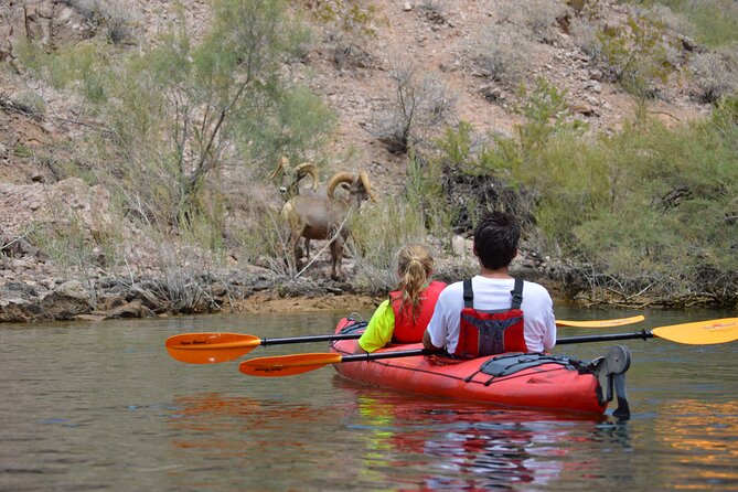 Hoover Dam & Hot Springs Kayak Tour with Lunch & Expert Guide - Twelve miles of paddling through Black Canyon