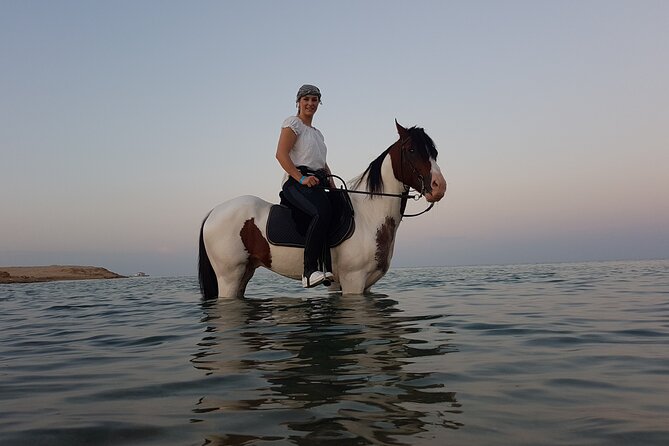 Horse Riding 2 Hours & Relaxation Turkish Bath & Sauna - Hurghada - Two hours on horseback around Hurghada