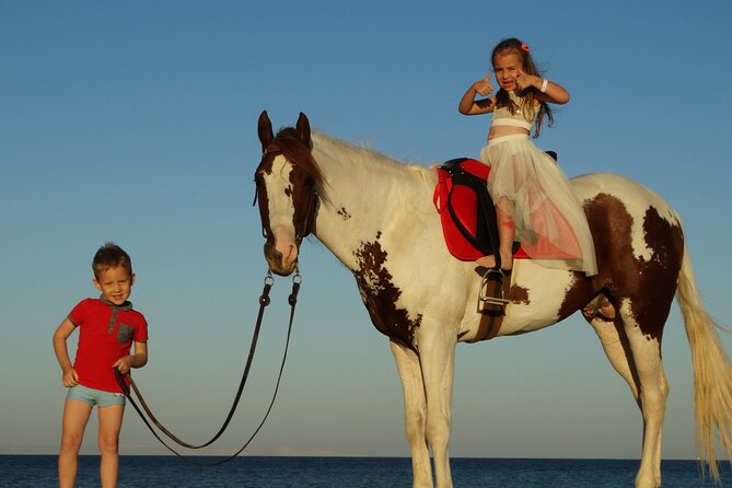 Horse Riding 2 Hours & Relaxation Turkish Bath & Sauna - Hurghada - The Turkish bath after the ride